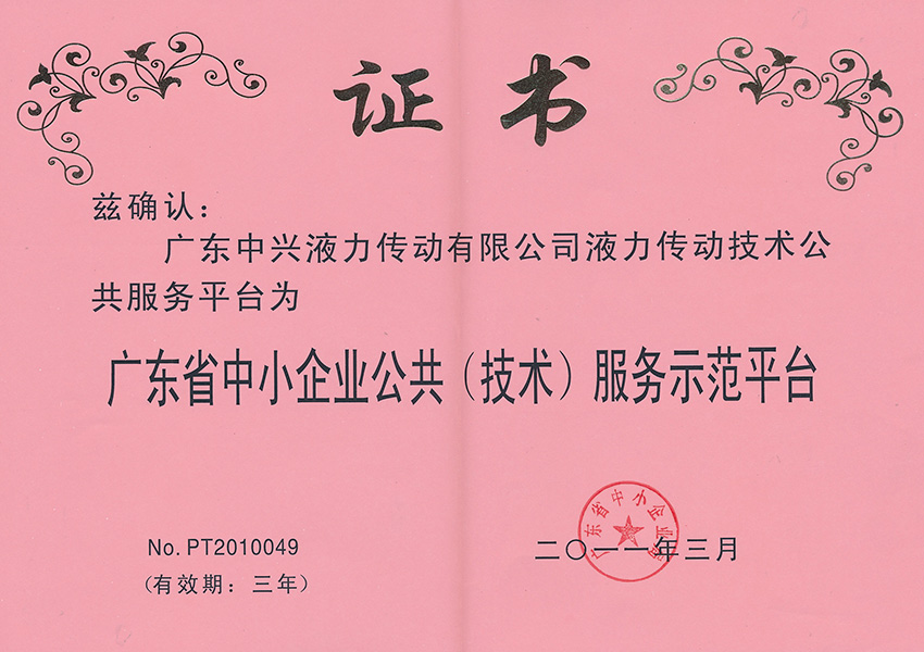 2011年公共(技术)服务示范平台证书